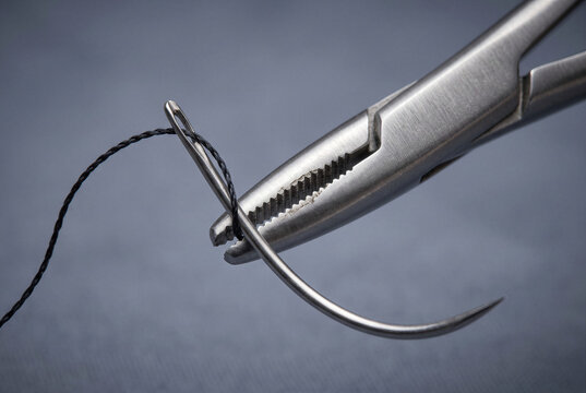 Surgical forceps clamp holding suture needle with thread, medical instrument for surgery operation.
