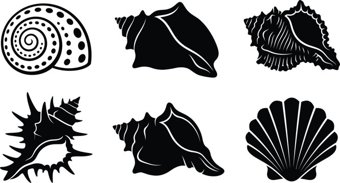 Sea shell silhouette collection featuring conch spiky murex nautilus spiral and scallop shell ocean vector elements