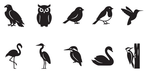 Fototapeta premium Set of black bird silhouettes including eagle owl hummingbird flamingo and swan in flat vector style. A collection of ten distinct bird species icons isolated on a white background for graphic design 