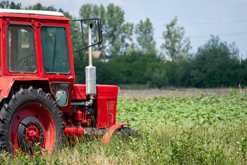 Red agricultural tractor in a rural field under summer sky © Daniel