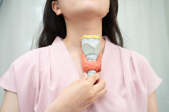Hyperthyroidism, Overactive Thyroid, Thyroid Lymphoma, Asian woman with thyroid gland human anatomy model.