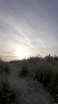 Cinematic vertical shot moving through coastal sand dunes towards a beautiful sunset.