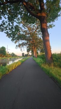 Cinematic POV footage of a serene journey along a tree-lined path by a canal at sunset.