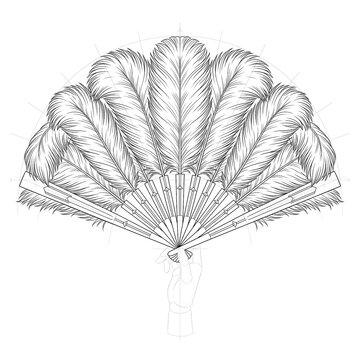 Hand drawn sketch of elaborate ostrich feather fan. Front view.