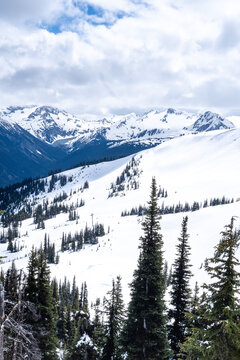 views from Whistler mountain, Canada