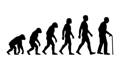 Obraz premium Human Evolution Timeline Crawling to Walking Cane Silhouette Vector
