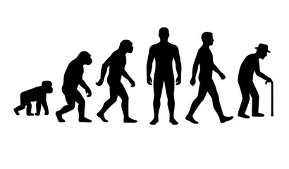 Obraz premium Human Evolution and Aging Stages Black Silhouette Vector