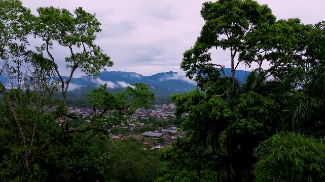 Tropical Forest View Toward Ecuador Mountain Valley with Trees, Blue Haze, Green Slopes and Scenic Andean Nature Travel Background