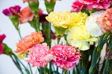Fototapeta premium Colorful carnation bouquet with pink, yellow, white, coral, and magenta blooms arranged in soft focus against bright background, creating cheerful floral display with fresh stems and delicate petals