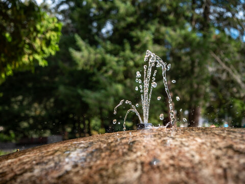Clear water jets and sparkling droplets from a small outdoor fountain, captured against a blurred green background, ideal for water, refreshment, motion and park landscaping concepts.
