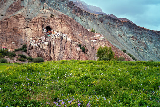 Phuktal Monastery in Zanskar Valley, Ladakh, India with Green Fields and Dramatic Mountain Landscape. 
