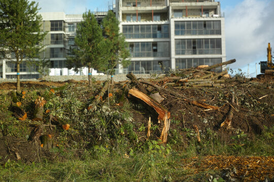 removed trees in front of new building