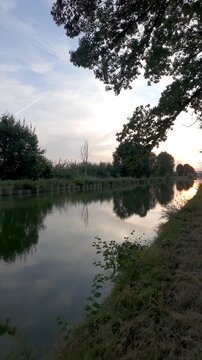 Vertical video of a serene canal at sunset with tranquil water reflections and tree silhouettes.