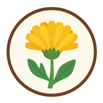 Beautiful Yellow Calendula Flower Illustration in a Circular Frame, Stylized Botanical Icon with Green Leaves on a Neutral Background for Nature and Gardening Design Concepts