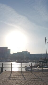 Cinematic slow-motion pull-back shot of the Antwerp harbor at sunset. Vertical video showing the sunny pier, boats, and city skyline.