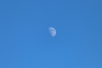 Close-up view of Earth's natural satellite displaying remarkable surface detail against a bright blue sky © Catalin