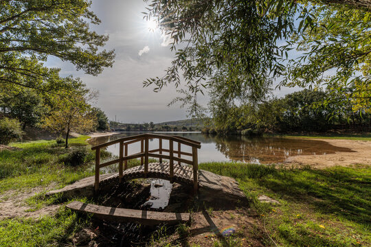 Small wooden bridge among the trees at Cional Beach, Valpara&iacute;so Reservoir, Zamora, Spain.