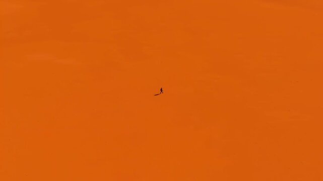 Lonely Walk in the Orange Horizon