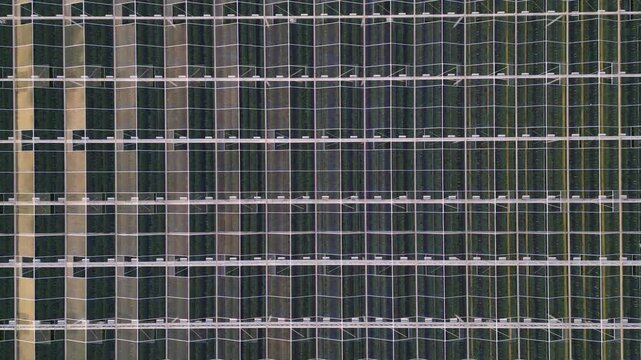 Cinematic Tracking Shot Over the Glass Roof of a Vast Industrial Greenhouse Complex for Modern Agriculture