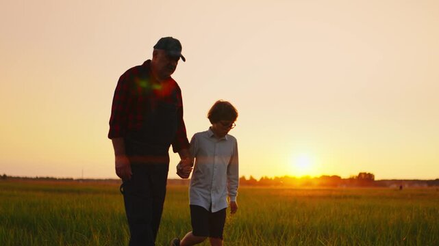 Elderly farmer and young boy walking hand in hand through green field at tranquil sunset, sharing peaceful moments and generational connection in rural landscape