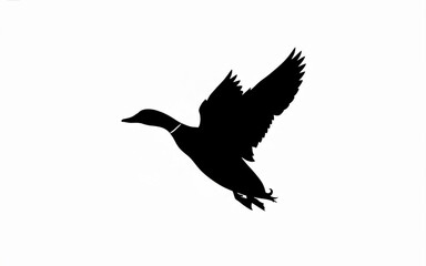 Fototapeta premium Silhouette of Flying Bird with Spread Wings Isolated on White Background for Wildlife and Nature Design