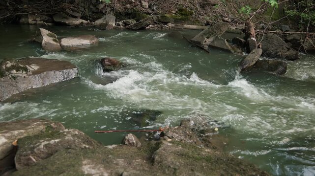 Fast, opaque green creek water surges over jagged stones in a tight rocky channel, with foamy eddies and branches caught at the edges.