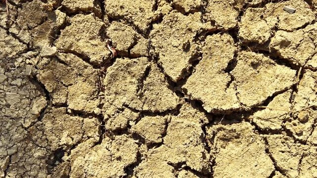 Cracked clay surface shows deep polygonal fissures, detached soil plates and fine sediment caused by severe desiccation during drought conditions, top down reveal close up
