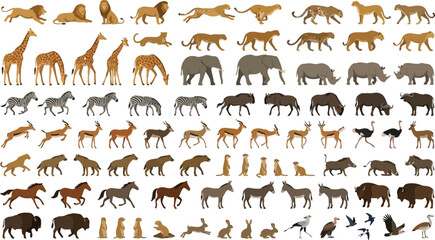 Fototapeta premium African Safari Animals Collection in Flat Vector Style with White Background