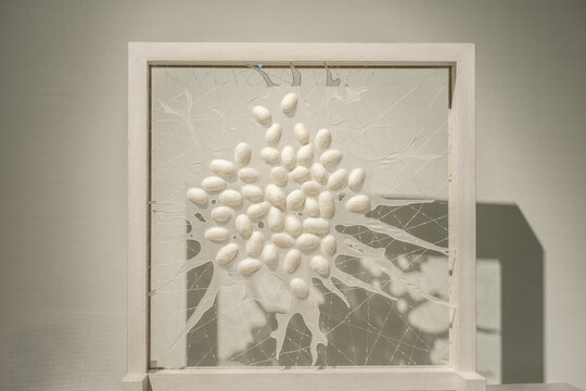 eggs on the spider web, art installation featuring numerous small, oval, egg-shaped objects arranged in a cluster on a translucent, cracked glass-like surface.