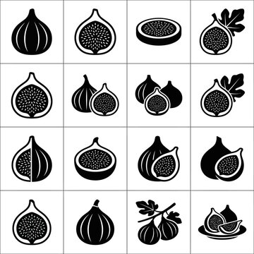 Collection of stylized fig fruit icons in black and white.