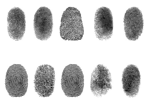 Black fingerprint collection with 10 unique ink stamps, forensic human thumbprint vector set, biometric identification marks for security and crime investigation