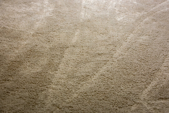 Vacuum Cleaning Lines on a Plush Beige Carpet Texture