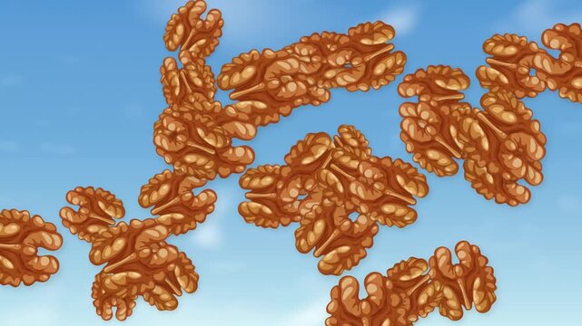 Animated Shelled Walnuts Falling and Floating Against a Blue Sky