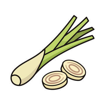 Fresh Lemongrass Stalk and Slices Flat Vector Graphic Resource Isolated on White