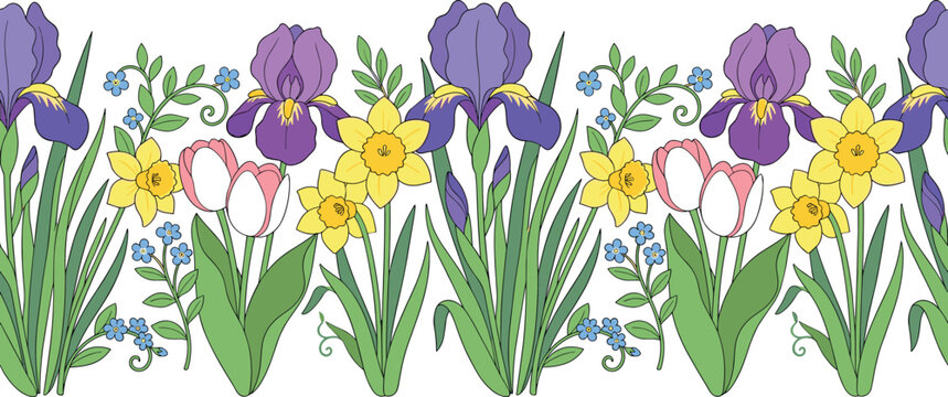 Spring flowers seamless horizontal border vector background with blooming purple irises yellow daffodils pink tulips and forget me nots