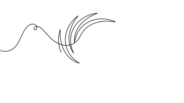 Animated of vortex hurricane icon sign continuous one line drawing on white background minimalist single art spin of typhoon and cyclone symbol animation