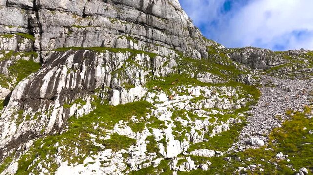 Alpine chamois (goat antelope) navigate steep rocky slopes of Julian Alps, aerial