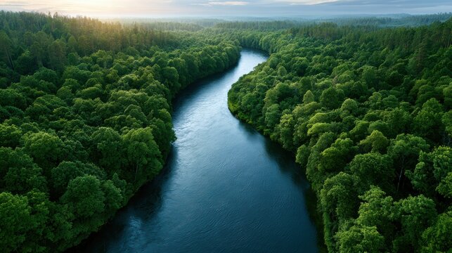 A winding river flows through dense green forest under a clear sky during sunset, showcasing a serene natural landscape.
