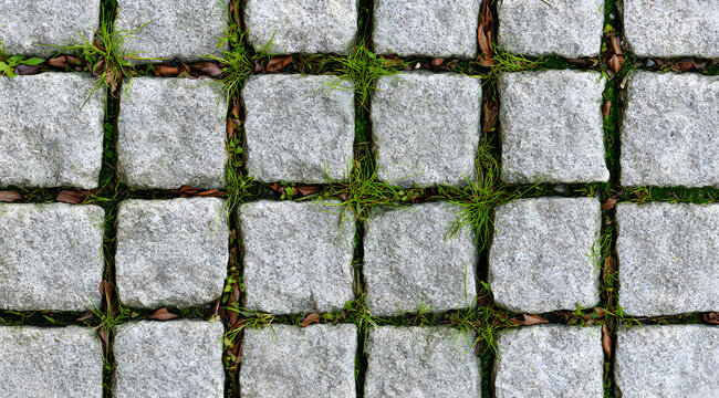Top view of light gray stone tiles. Square paving pattern covers the ground with small brown leaves and green grass growing between the cracks. The neutral urban texture shows the outdoor floor surfac