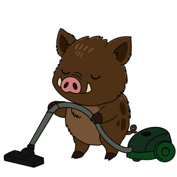 Adorable wild boar  character cleaning house illustration.