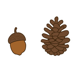 acorns and oak leaves © berliana