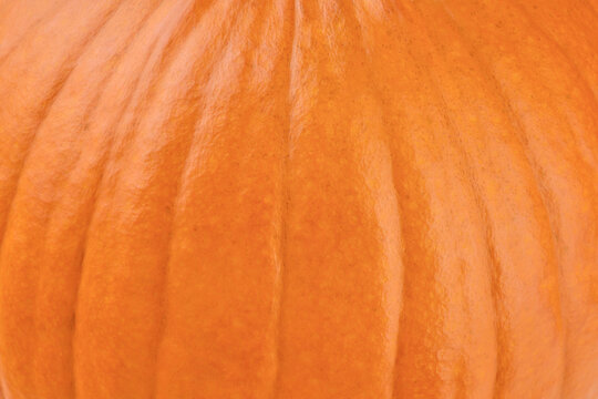 Close-up of orange pumpkin skin texture filling the frame