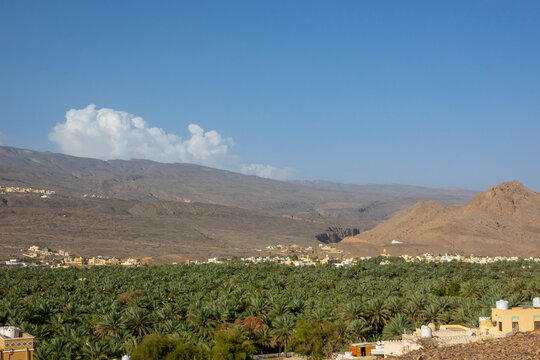 Panoramic view over a palm oasis and small village toward mountains under a large cumulus cloud in a wide desert valley, Ad Dakhiliyah Region, Misfat al Abriyyin, Oman