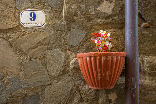 Rustic stone wall with a street sign "Via dell' AMORE" and a potted plant displaying autumn colors, Chioggia, Veneto, Italy