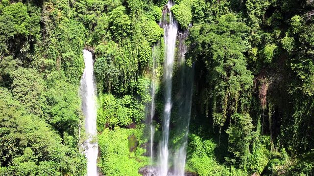 Waterfalls pour down forest cliff, framed by thick tropical greenery and bright moss. Waterfalls define waterfall landscape, with long white streams cutting through dense vegetation in daylight.