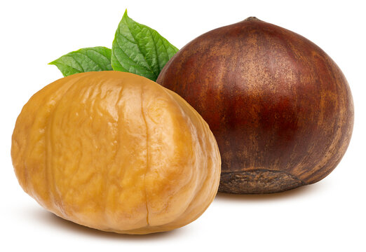 Roasted chestnuts isolated on a white background, with clipping path, Perfect visual for healthy snack marketing, gourmet food recipes, for product packaging design.