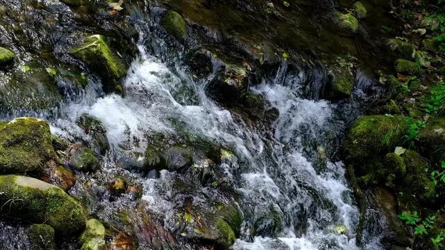 Close-up video footage of a fast-flowing mountain stream cascading over wet, moss-covered rocks in a lush green forest. White foamy water rushes down the rocky creek bed, creating a dynamic and refres