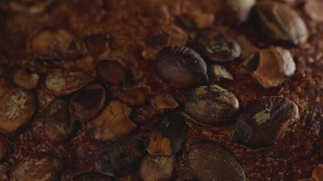Macro shot of baked artisan whole wheat sourdough bread topped with pumpkin seeds. Freshly baked organic loaf texture with a rich crispy golden-brown crust for bakery promos and healthy food concept.