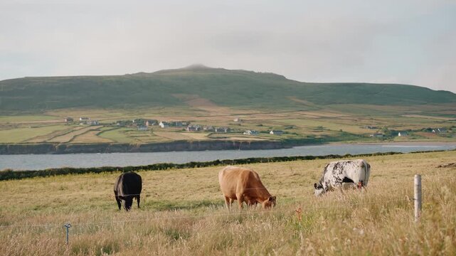 Clogher Beach on the Dingle Peninsula, County Kerry, Ireland - 4 September 2026.