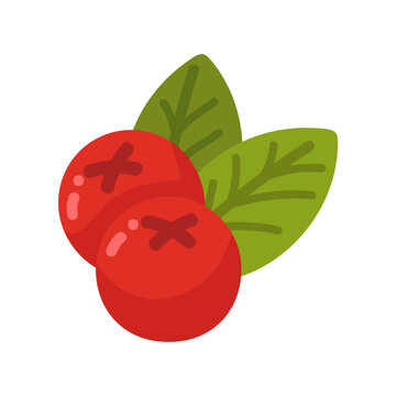 Vibrant red berries with fresh green leaves, a simple and healthy fruit illustration